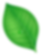 Форма