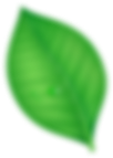 Форма